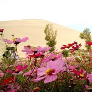 Saturday 3/15/2025 Unlisted‎ Items-Live show